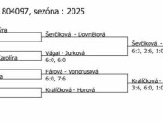 pavouk čtyřhry mladších žákyň v Pelhřimově (1.-2.2.)